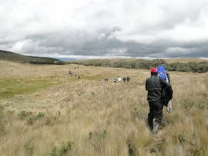 Field visit to the grasslands of the Zurucay River Ecohydrological Observatory during the AGU Chapman Conference on Emerging Issues in Tropical Ecohydrology. (Photo credit: iDRHICA)