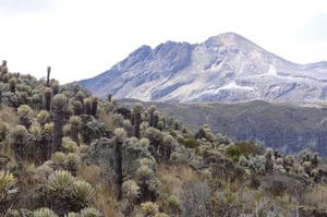 Paramo and the Olleta crater, Kumanday/El Ruiz Nevado.