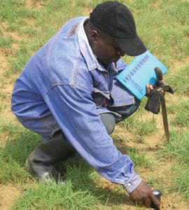 Measuring soil moisture and pH in the field.