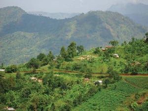 Village with gardens on the sides of Mt. Elgon National Park.