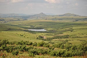 Vital grasslands in the Eastern Great Escarpment of South Africa