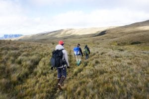 Hiking in the paramo, an unusual yet crucial Andean ecosystem