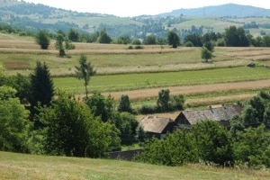 Traditional Agricultural Landscapes of arable-land and grasslands
