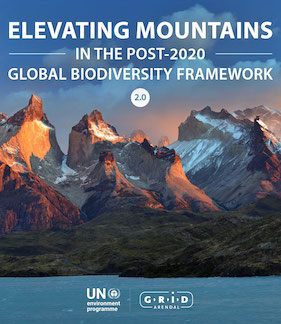 Elevating Mountains in the Post-2020 Framework Policy Brief