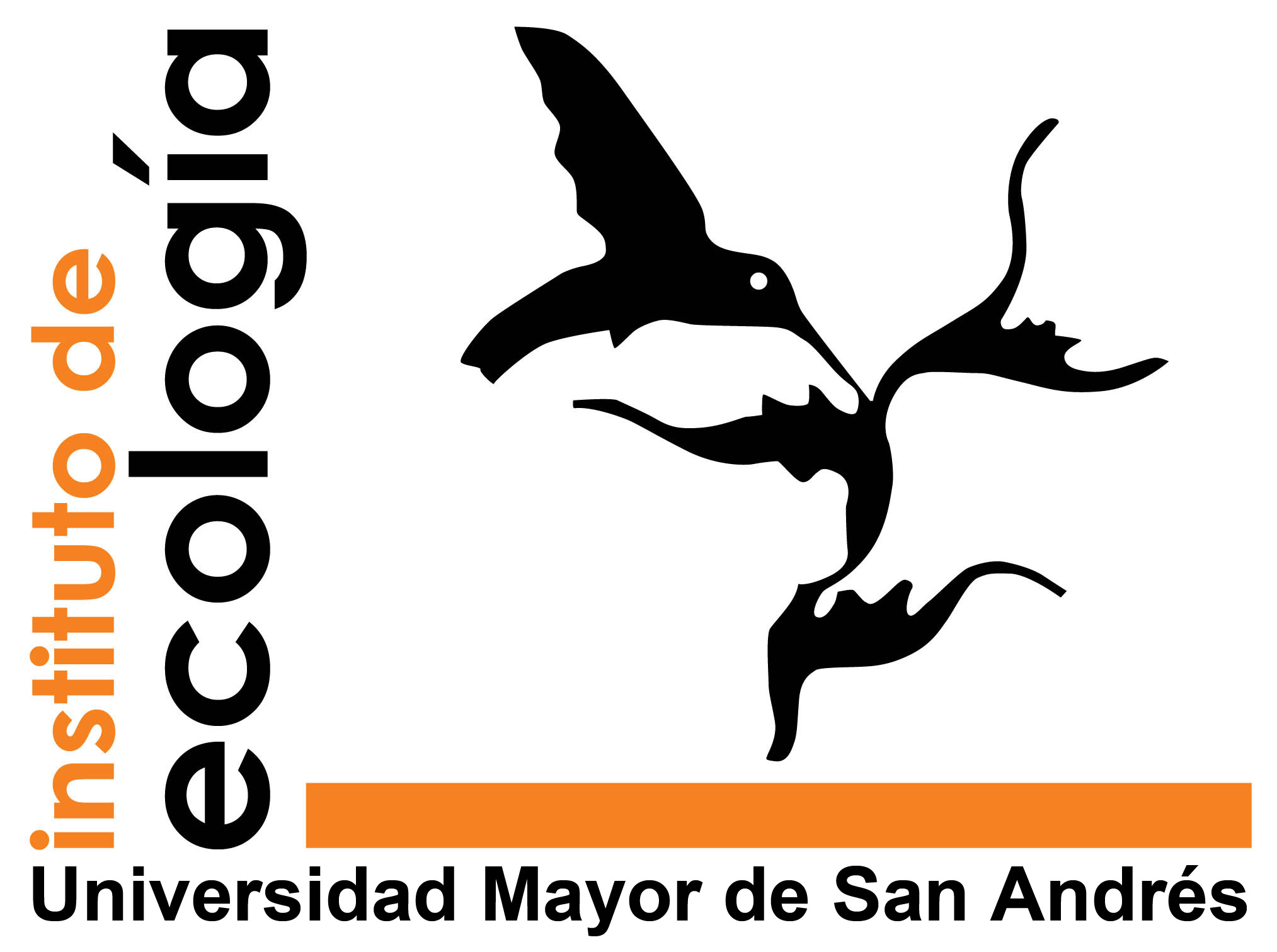 Logo Universidad MSA