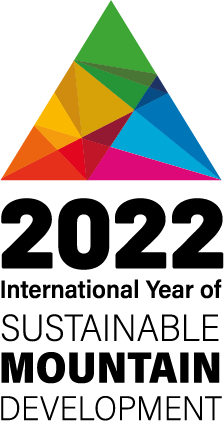 Logo international year of sust