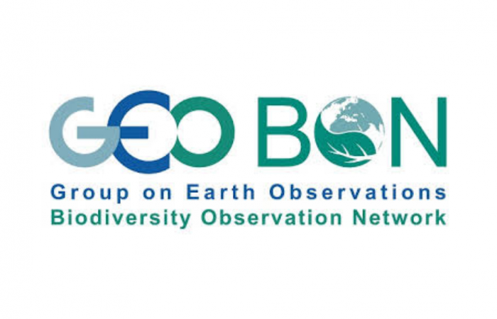 GEO BON logo