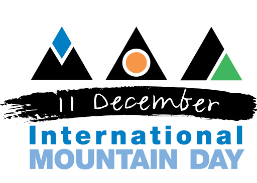 Int. Mountain Day 2020 logo