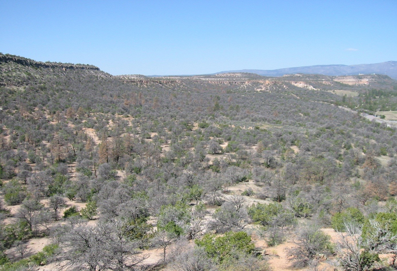 USA Forests Dieback HB 2