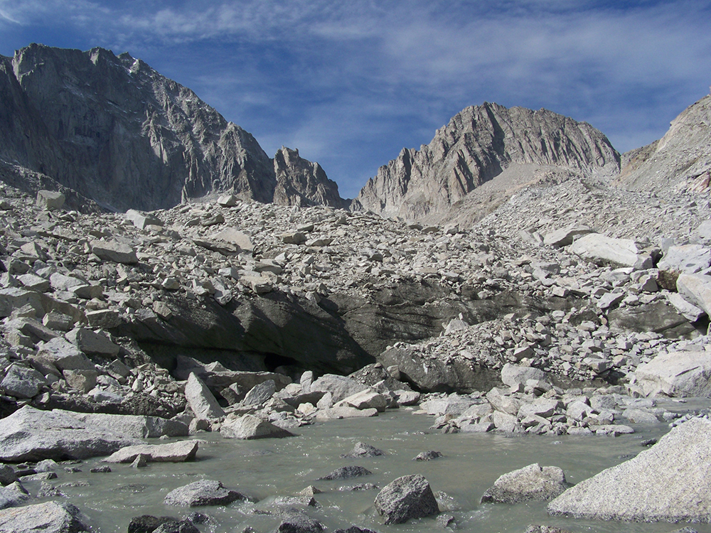 frontiers ecology evolution melting glaciers effect plant biodiversity 5 9810