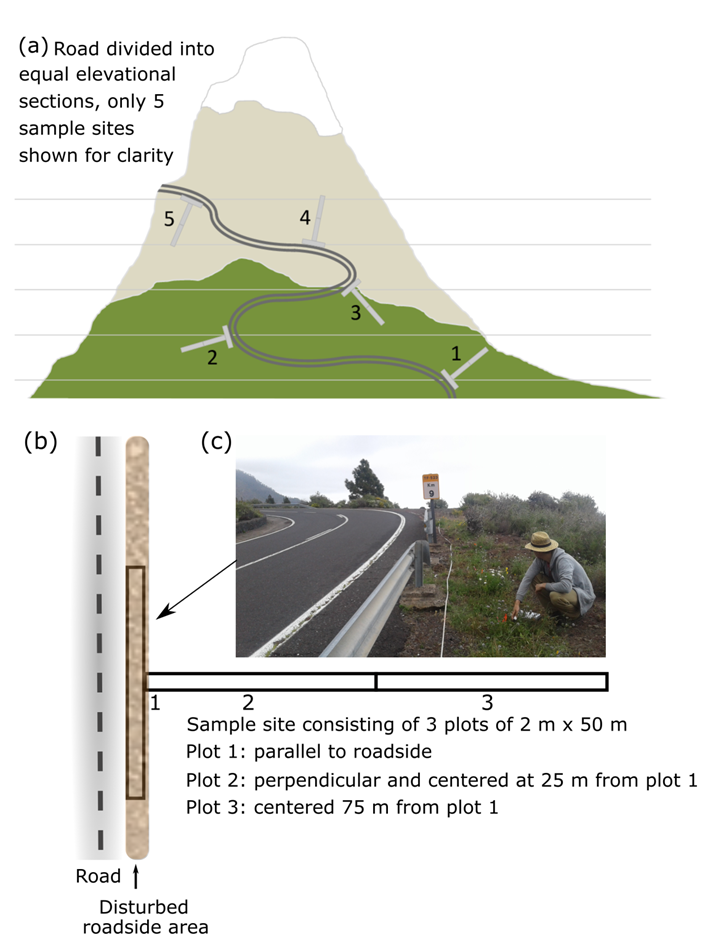 JLembrechtsMIRENblogpost1