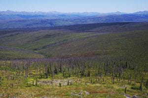 Figure 1. White Mountains burns. 2004 fi res burned hundreds of thousands of acres in this part of Alaska