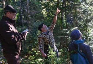 Figure 3. Laurent Larrieu, Philippe Deuf fic and Marius Mayer assessing the level of silver fir dieback in the Pyrenees