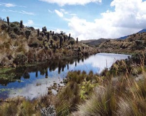Slowly drying high-altitude water body.