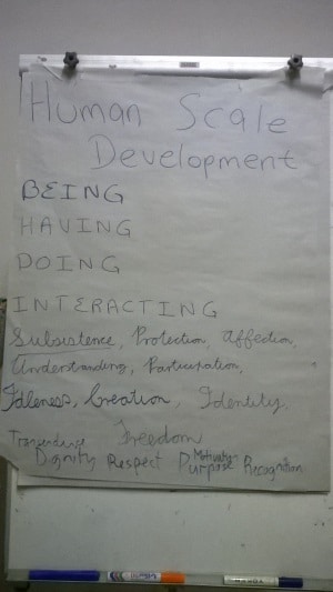 Human scale needs model used to evaluate the value of co-op activities and guide interventions.