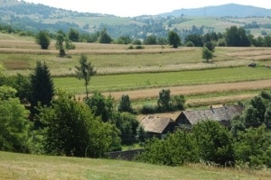 Traditional Agricultural Landscapes of arable-land and grasslands