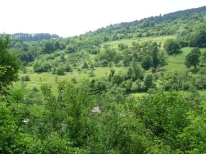 Traditional Agricultural Landscapes of Arable-land, Grasslands and Orchards